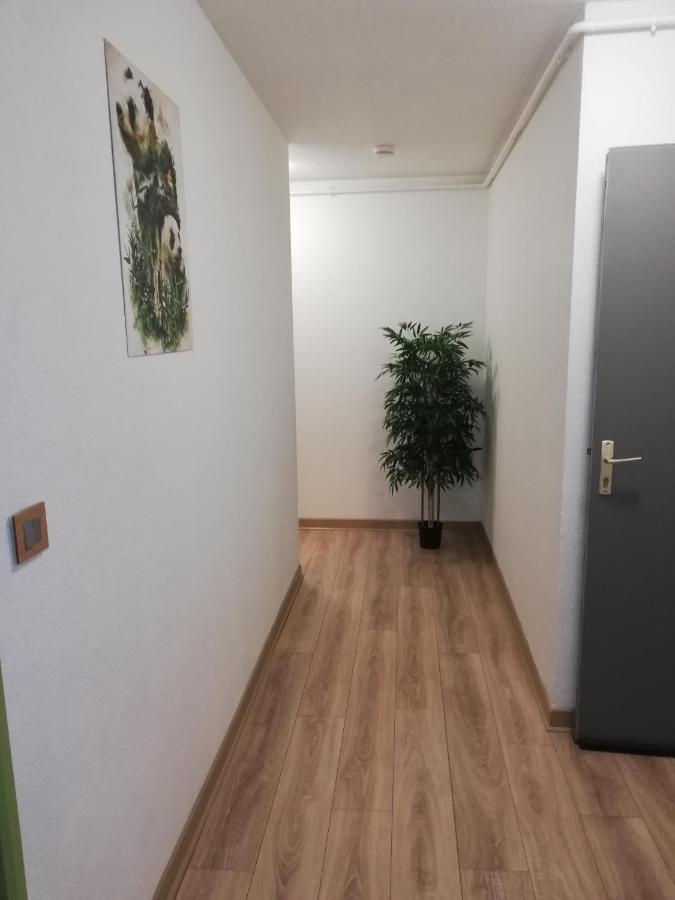 Appartamento Grand T3 Avec Clim, Parking Et Terrasse Privative - Agen Esterno foto